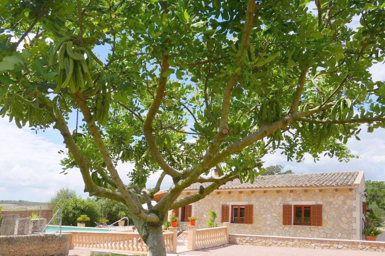 Ferienhaus Casa Sa Rota Ariany